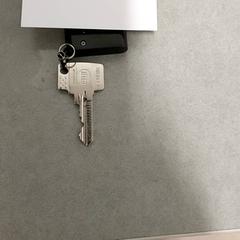 鍵 がiLostで Regio Antwerpen - Brussel によって報告されました