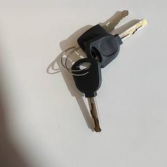 İLost kullanarak Centraal magazijn tarafından bildirildiği gibi Anahtarlar - Zwart