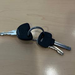 Autosleutel, gemeldet von Jaarbeurs über iLost