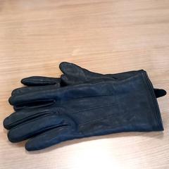 Luva handschoenen, como reportado por RRReis Veluwe Zuid - Ede utilizando o iLost