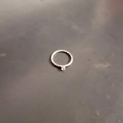 Ring & Jewellery Silver, as reported by Van der Valk Hotel Sneek using iLost