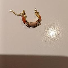 Örhänge Oranje, rapporterat av Padualaan 97 med iLost