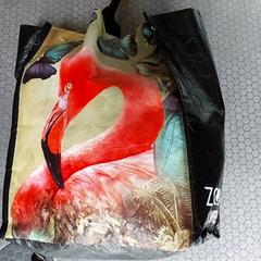 バッグ - Plastiek  tas がiLostで Regio Oost-Vlaanderen によって報告されました