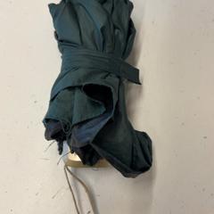 Parasol, zgłoszono przez GVB przy użyciu iLost