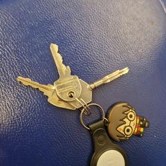 Sleutelbos, come riportato a iLost