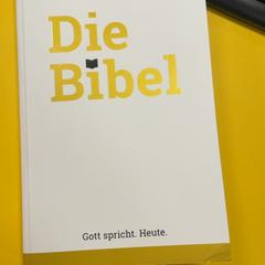 Bok White in Color, rapporterat av MEININGER Hotel Dresden Zentrum med iLost