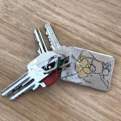 Llavero, ha sido reportado por Gemeente Alkmaar con iLost