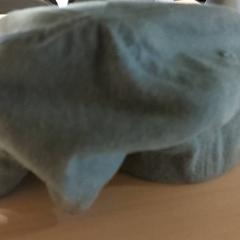 الملابس - pet، كما تم الإبلاغ عنه بواسطة Regio Antwerpen - Brussel عبر iLost