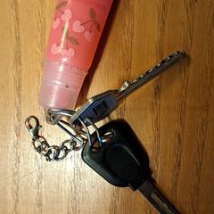 Sleutels, come riportato a iLost