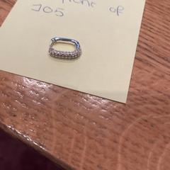 Örhänge, rapporterat av ibis Styles Rotterdam Ahoy med iLost