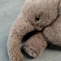 Plyšová hračka, ako bolo nahlásené Arriva Friesland / Groningen pomocou iLost