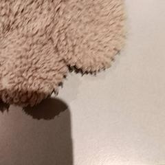 Kosete leke, som rapportert av De Efteling ved bruk av iLost