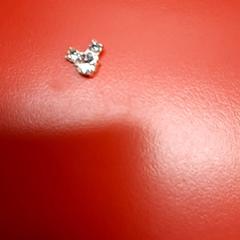 Steentje, segundo informou UvA REC usando iLost