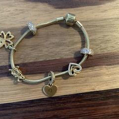 Pandora armband がiLostに報告されました