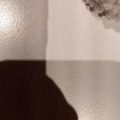 Speenkoord, gemeldet von De Efteling über iLost