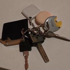 Keys, iLost에 보고됨