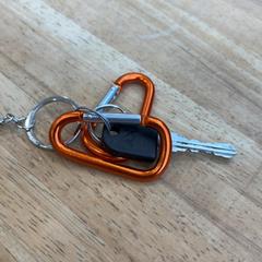 Bicycle key, as reported by Gemeente Wageningen using iLost