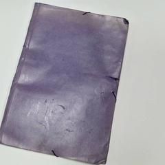 Carpeta, ako bolo nahlásené Soler i Sauret pomocou iLost