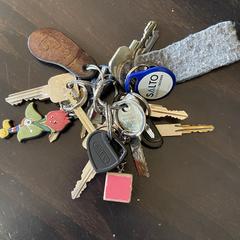 Sleutelbos, ako bolo nahlásené iLost