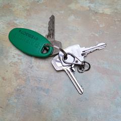 Sleutels a été signalé sur iLost