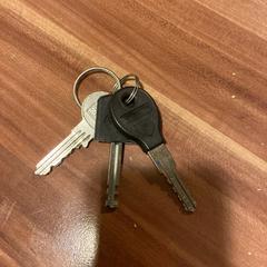 Sleutelbos, amint azt Pathé Haarlem az iLost segítségével jelentette.