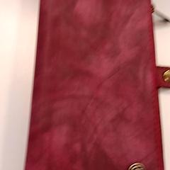 Cartera, segons ha informat Syntus Provincie Utrecht mitjançant iLost