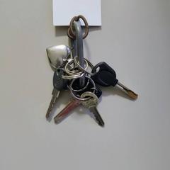 Nøkkelring hartje, som rapportert av Regio Limburg - Leuven ved bruk av iLost