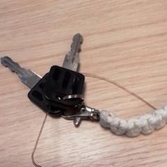 Klucze, zgłoszono przez Qbuzz Fryslân przy użyciu iLost