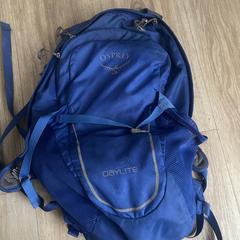 Blue osprey backpack, iLost에 보고됨