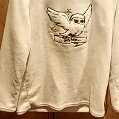 Trui sweater, zoals gemeld door Van der Valk Hotel Apeldoorn - De Cantharel met iLost