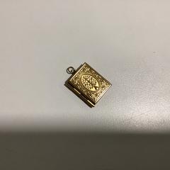 Hangertje Boekje met foto’s - 040525 BILLIE1, a été signalé par Ziggo Dome utilisant iLost