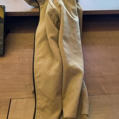 Vesta, jak nahlášeno Pathé Arnhem pomocí iLost