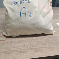 Bag, as reported by EBS Spijkenisse using iLost