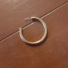 Goudkleurige oorring, come riportato a iLost