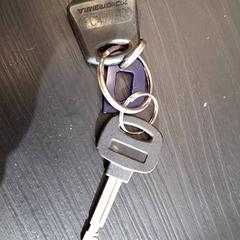 İLost kullanarak Breng Nijmegen tarafından bildirildiği gibi Anahtarlar