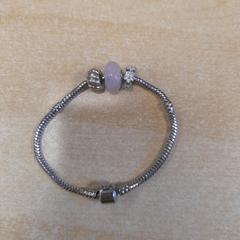 Armband, as reported by Dolfinarium using iLost