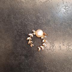 Oorbel, ha sido reportado por Rotterdam The Hague Airport con iLost