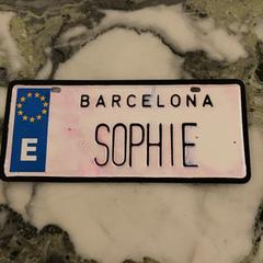 İLost kullanarak Van der Valk Hotel Heerlen tarafından bildirildiği gibi Plaat