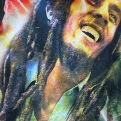 Tas, zoals gemeld door GVB met iLost