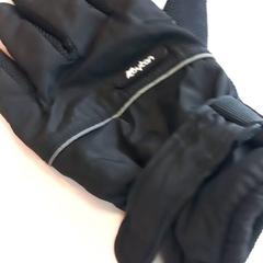 Handschoen, segundo informou Arriva Limburg Zuid usando iLost