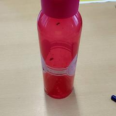 Drinking bottle, as reported by Regio Limburg - Leuven using iLost