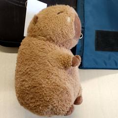 Různé - Knuffel dier, jak nahlášeno Regio Oost-Vlaanderen pomocí iLost