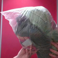 Eskuoihalak, gisa salatu by MEININGER Hotel Roma Termini iLost erabiliz