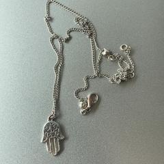 Collana Silver, come riportato da Burgers' Zoo utilizzando iLost