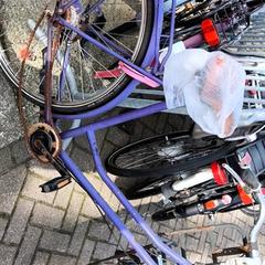 Bicicleta feminina Paars, segundo informou Stadswerk072 usando iLost