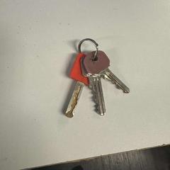 Sleutelbos | Brabanthallen, zoals gemeld door Libéma Beurzen en Evenementen met iLost