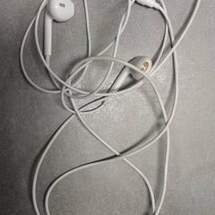 Oordopjes Wit, come riportato da Arriva Friesland / Groningen utilizzando iLost