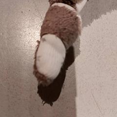 Kuschelige ohrfeige, gemeldet von De Efteling über iLost