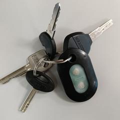 Keys with a tracker, segons s'ha informat a iLost