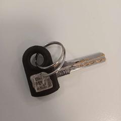 Clau Sleutel met zwart rubber, segons ha informat HU Amersfoort mitjançant iLost